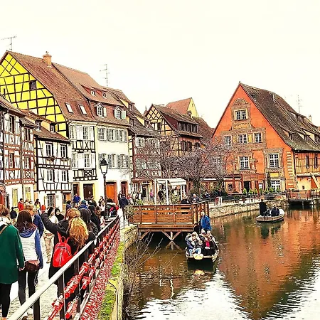 Cosy. 10mn Du Centre Et De La Gare. Garage Gratuit * コルマール